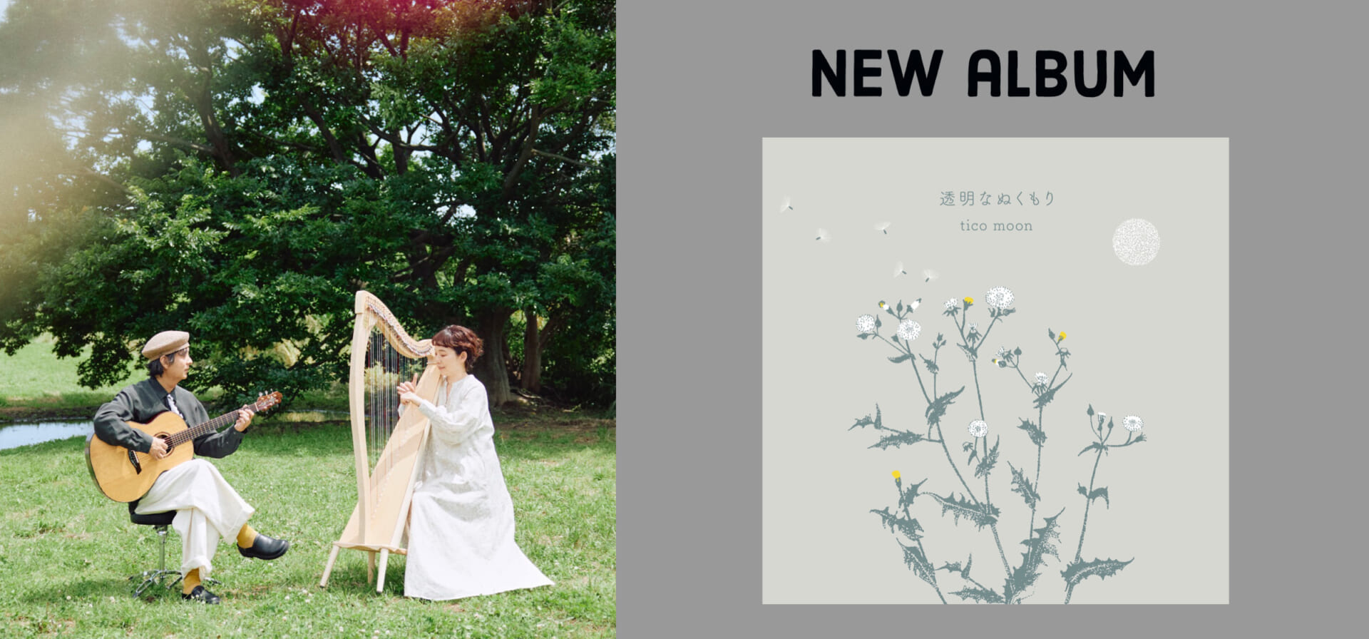 アコギ＆ハープのデュオ、tico moonが新作『透明なぬくもり』を発表