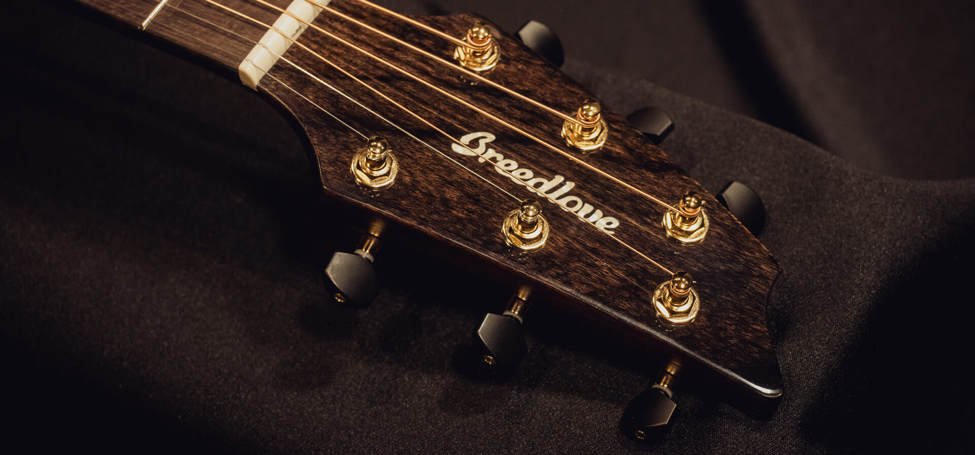 Breedlove（ブリードラブ）の新基軸“The Organic Pro Collection”×井草聖二