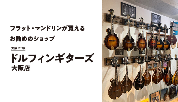 フラット・マンドリンが買えるお勧めのショップ【ドルフィンギターズ 大阪店】