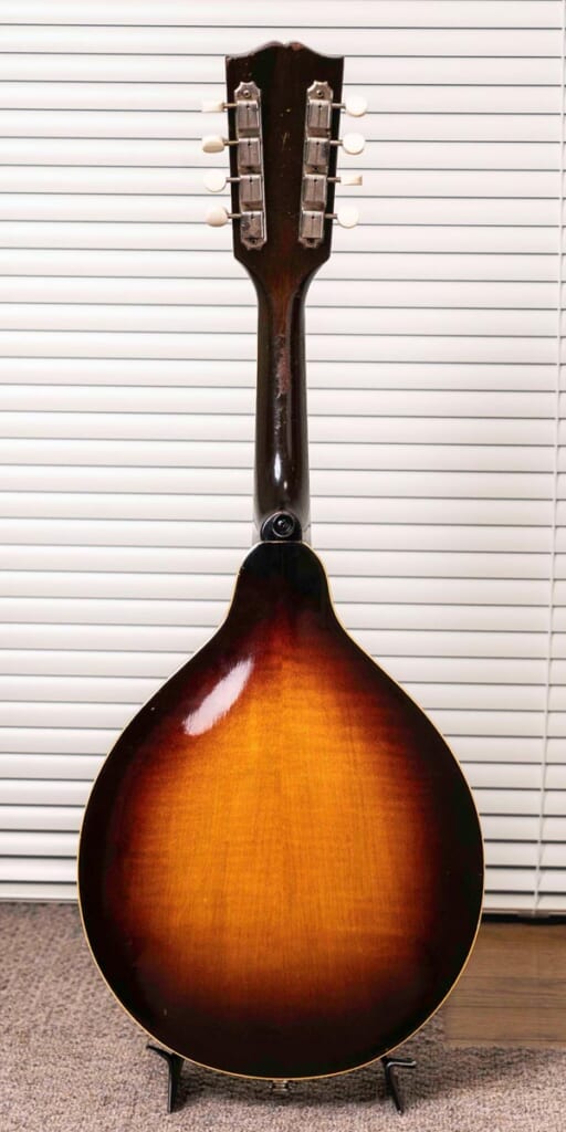 Gibson/A50(裏面)