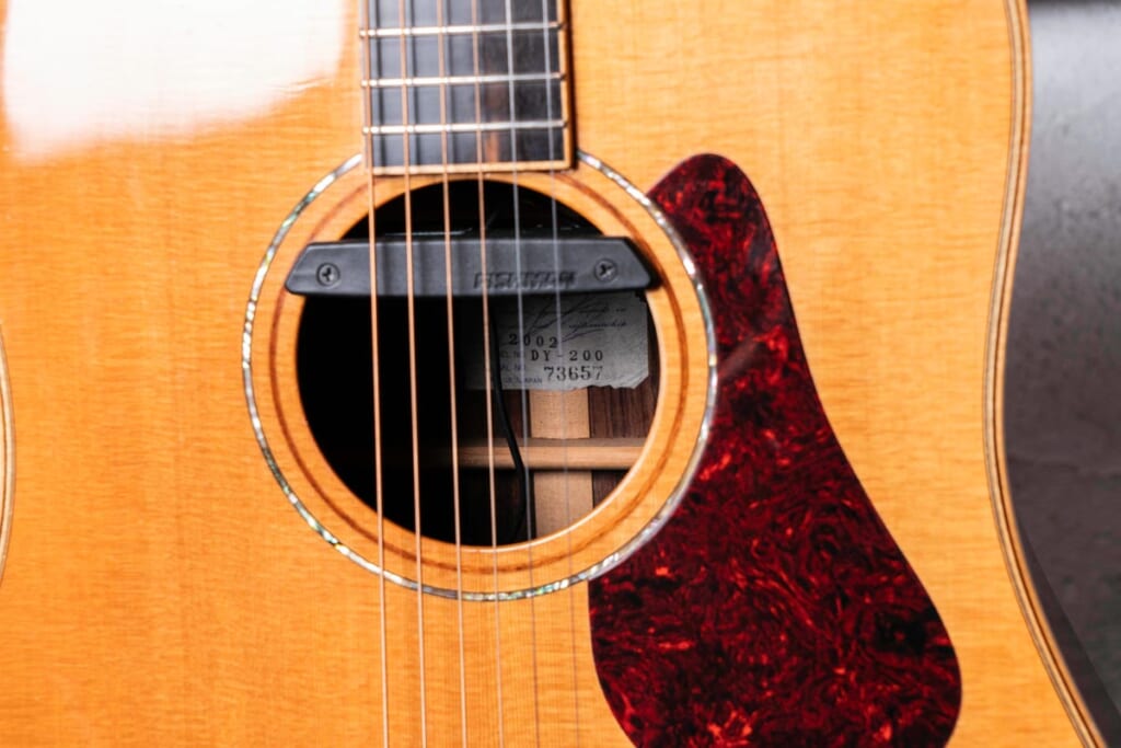 Fishman/Rare Earth Magnetic Soundhole Pickup