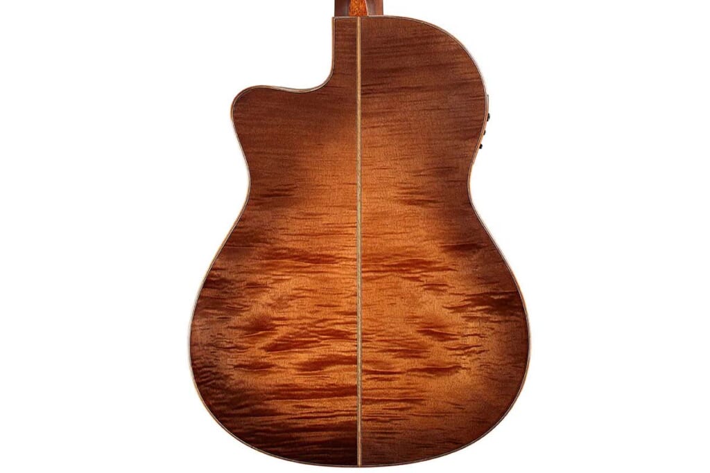 ボディ・バック(FUSION 12 CINNAMON BURST)