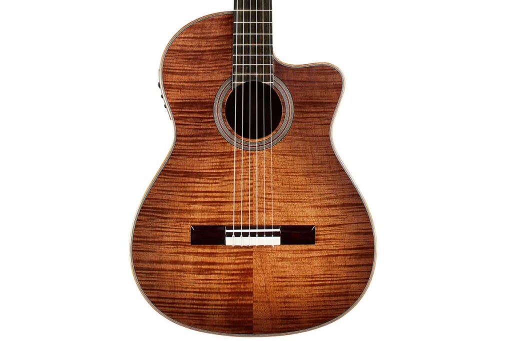 ボディ・トップ(FUSION 12 CINNAMON BURST)