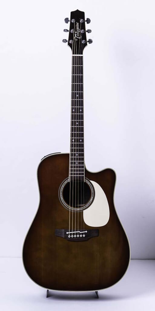 Takamine/Custom Model(前面)