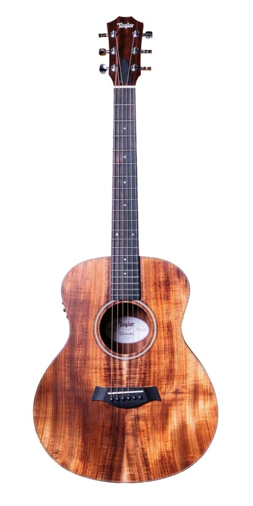 Taylor/GS Mini-e Koa(前面)