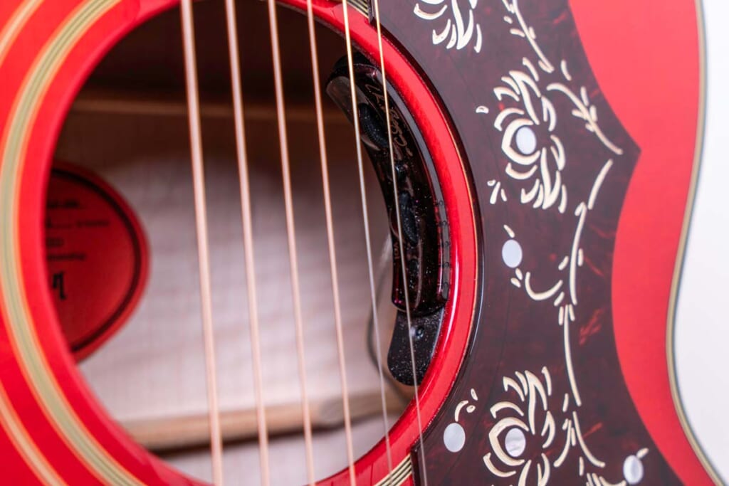 L.R.バッグス/Orianthi Pickup System