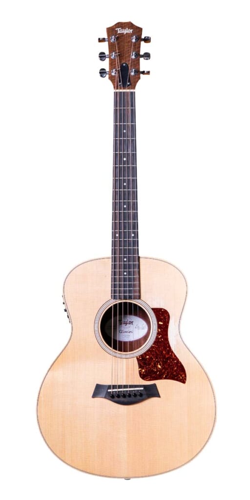 Taylor/GS Mini-e(前面)