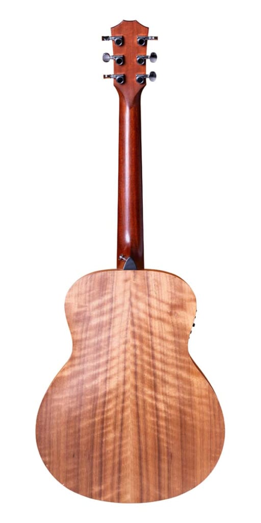 Taylor/GS Mini-e(前面)