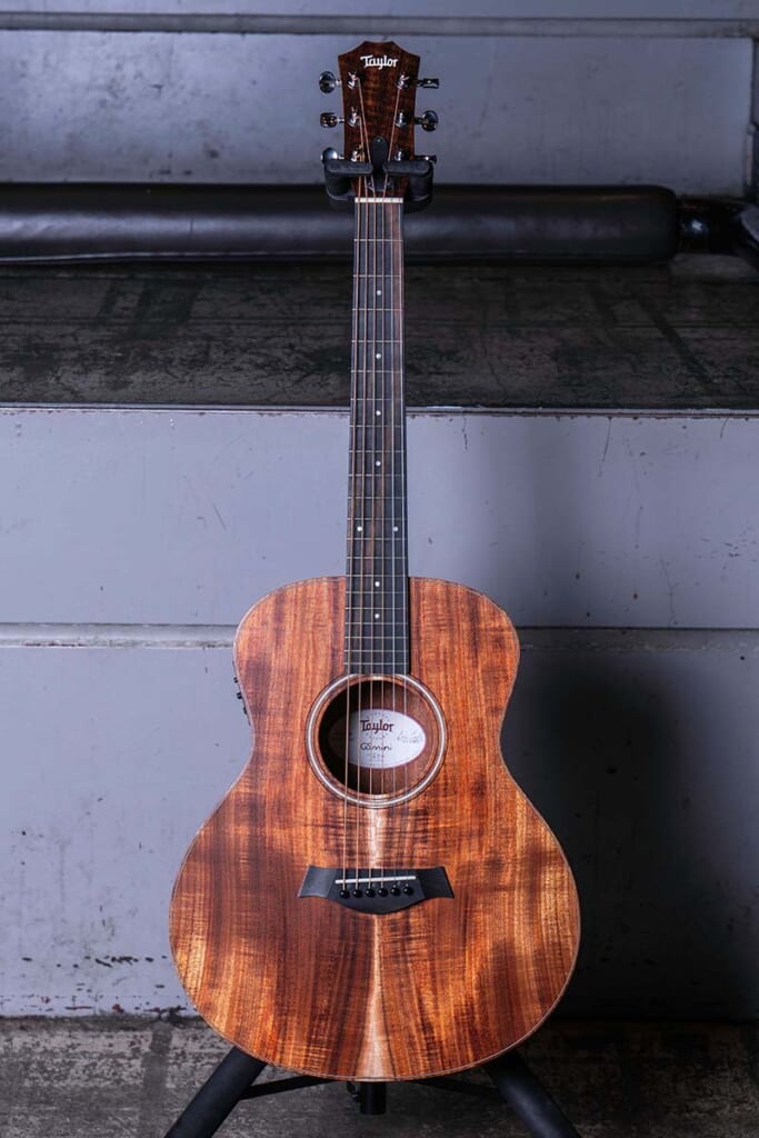 Taylor／GS Mini-e Koa（前面）