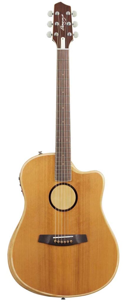 L.R. BAGGS/AEG-1 TOR(表面)