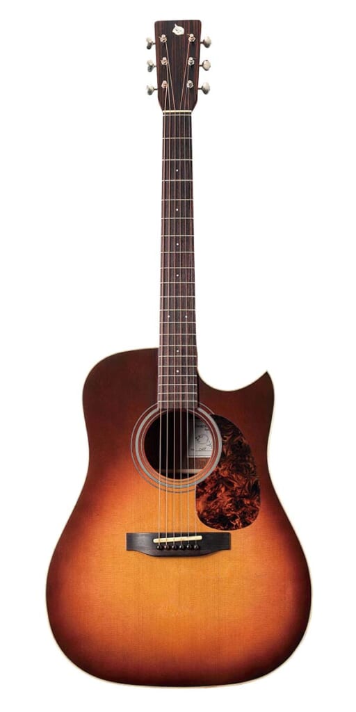 IWANEKO  GUITARS／“Type-DC” Simple Style（前面）