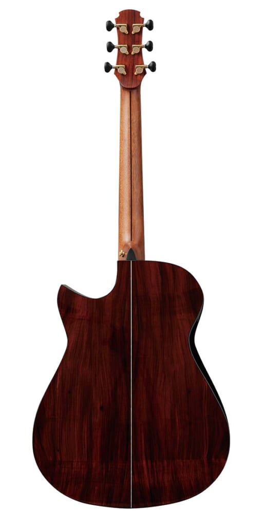 HOZEN GUITARS/Modified Dreadnought Falcate(背面)
