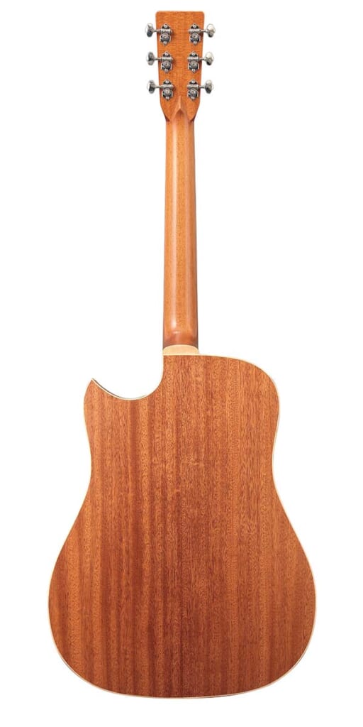IWANEKO  GUITARS／“Type-DC” Simple Style（背面）