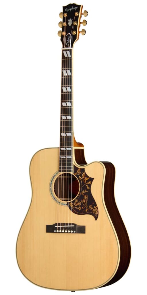 Hummingbird Deluxe EC(前面)