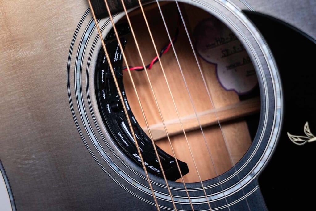 Fishman/Ellipse Aura