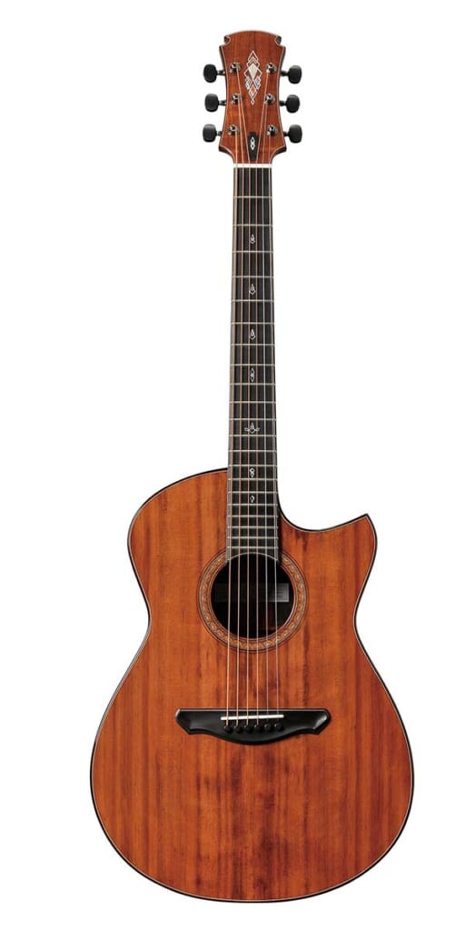 FUJII GUITARS × OGAWA INLAY CRAFT／OOcw - MIKI 200th Anniversary -（前面）