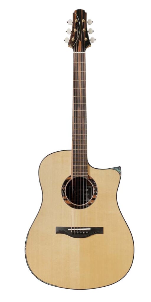 VOYAGER GUITARS/VD Domed Top / Cylindrical Back(前面)
