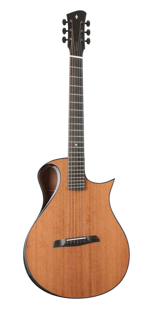 WILBORN GUITARS/The Nautilus(前面)