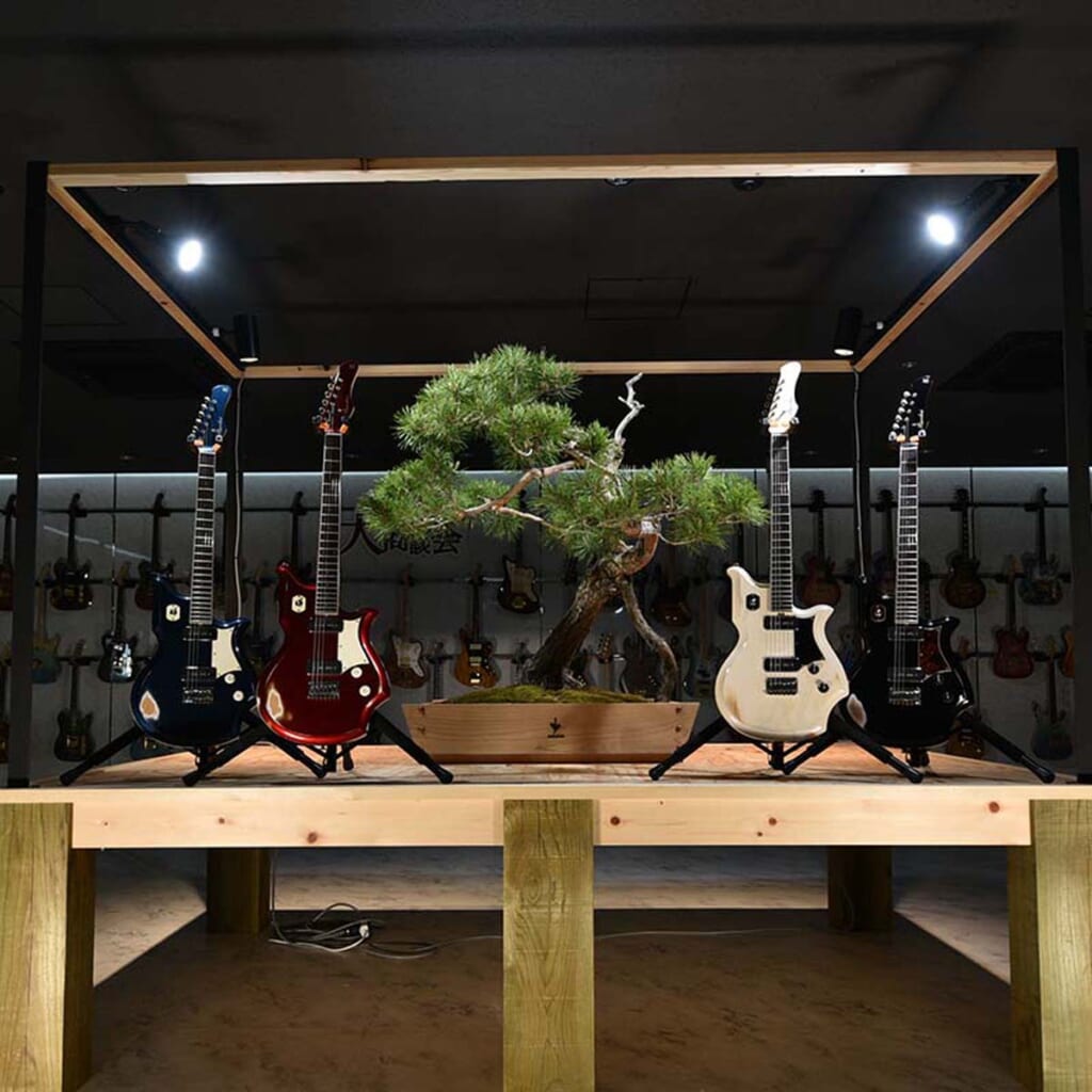 展示イメージ