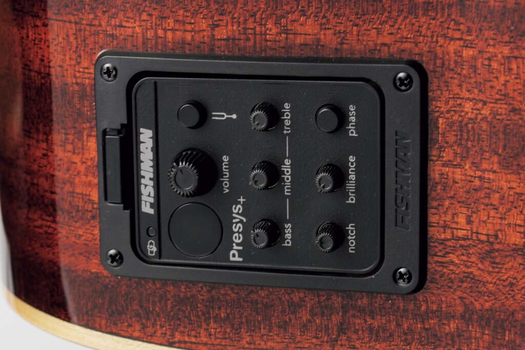 Fishman/PSY-201