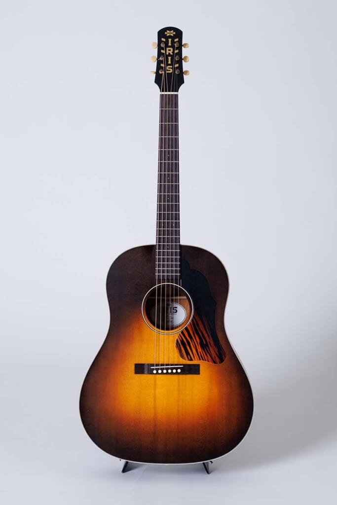 IRIS GUITAR COMPANY/THE DF MODEL(表面)