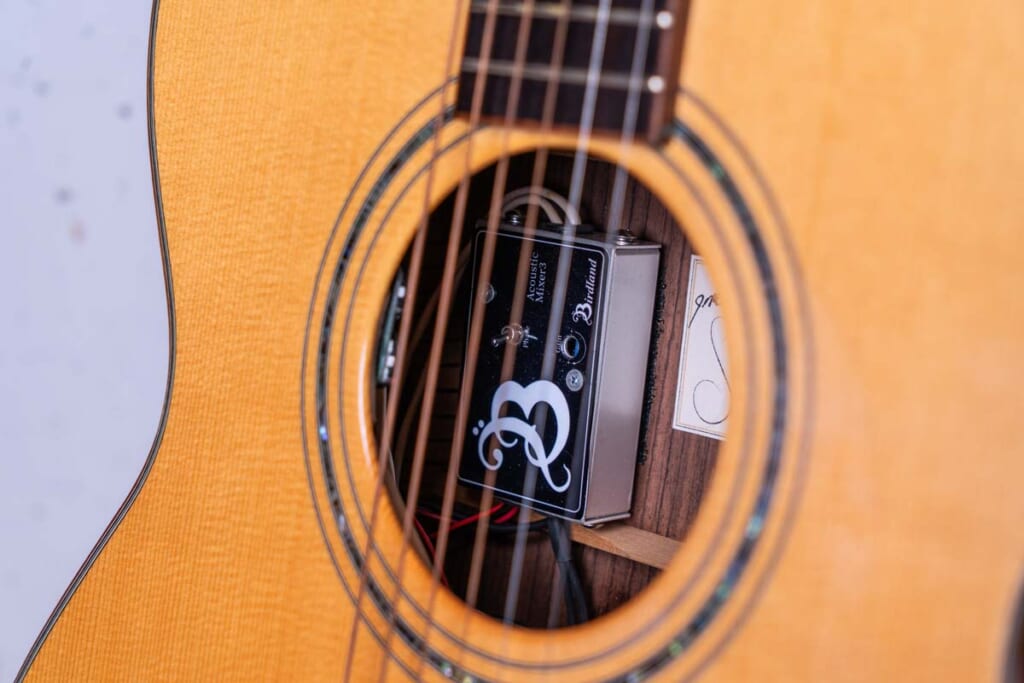 Birdland/Acoustic Mixer3