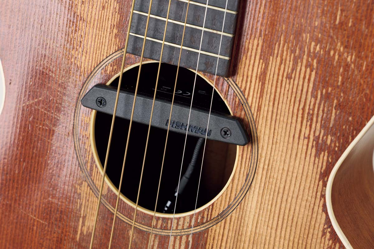 Fishman/Rare Earth Mic Blend