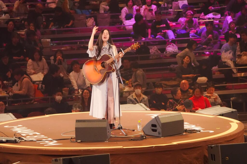宏菜