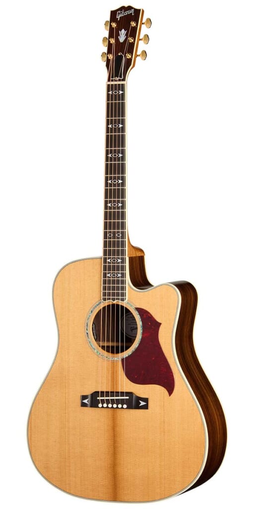Songwriter Recording Artist EC(Antique Natural)